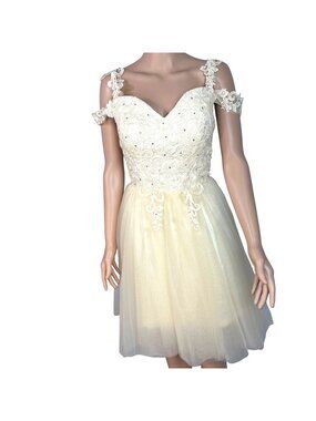 Ivory & Cream Lace & Tulle Short Dress With Rhinestone Accents Size 8 Elegant NW